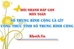 Giá trị đại diện là gì? Công thức tính số trung bình cộng của mẫu số liệu ghép nhóm Toán thống kê